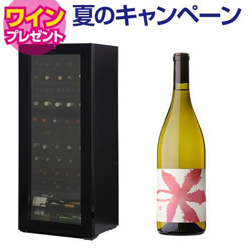 【9/29まで！特典ワイン付】ルフィエール ワインセラー TwoTime55 (C55BD)  2温度管理
