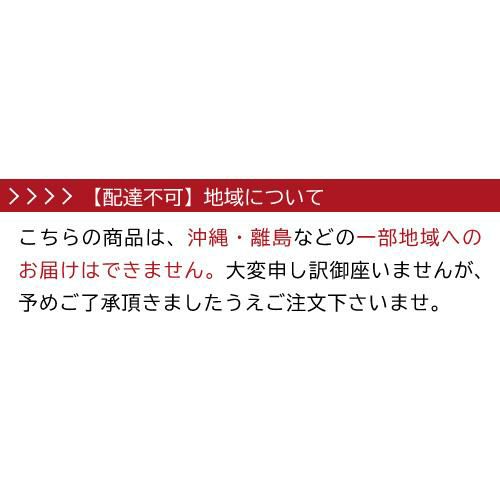 ワインセラー ルフィエール ベーシックライン C55BD 家庭用 業務用