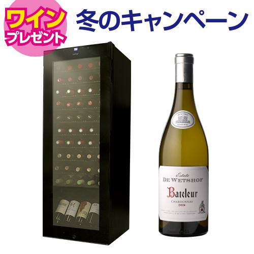 期間限定SALE | セラー専科本店