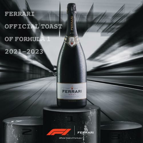 フェッラーリ リゼルヴァ ルネッリ 2015 正規品 750ml イタリア 辛口