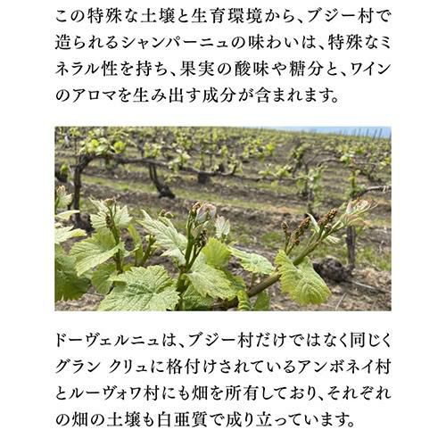 ドーヴェルニュオーレリアン エビデンス グラン クリュ