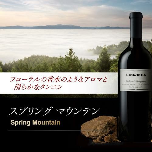 カベルネ ソーヴィニヨン スプリング マウンテン ナパ ヴァレー