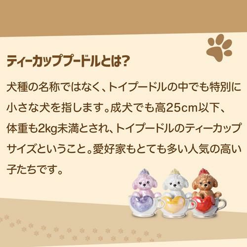 000000002830-16-l.jpg?t=